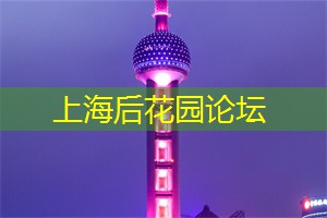 热门的上海编程和科技聚会